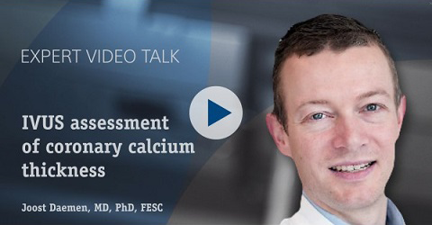 IVUS assessment of Coronary Calcium thickness<br /><i>J. Daemen</i>