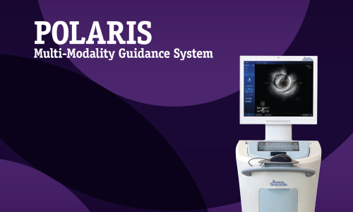 Sistema de guía para intervenciones coronarias percutáneas POLARIS