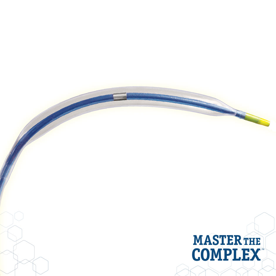 APEX™ PTCA Dilatation Catheter