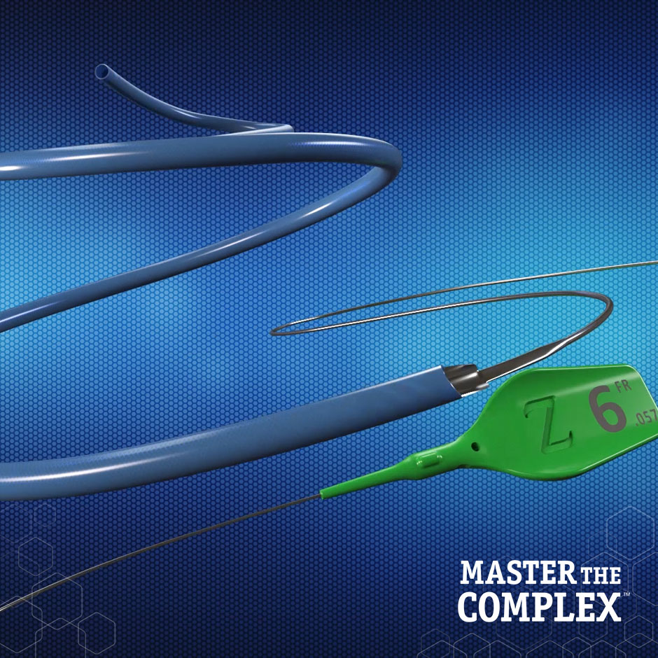 GUIDEZILLA II Guide Extension Catheter Product Animation