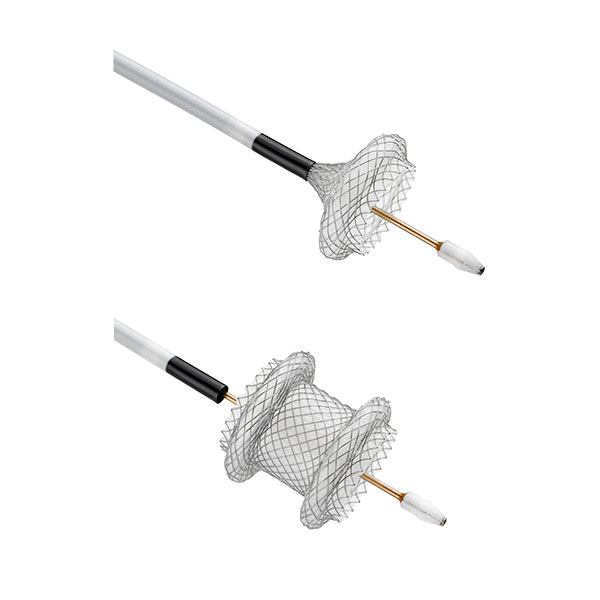 The AXIOS&trade; Stent and Electrocautery Enhanced Delivery System consists of two components: the catheter-based delivery system and an implantable stent. 