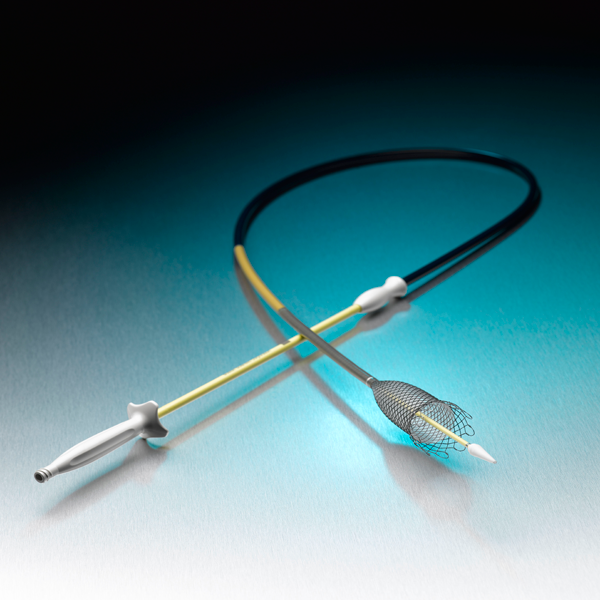 WallFlex Esophageal Stents Boston Scientific