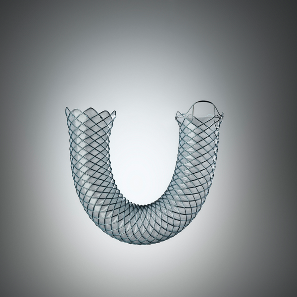 WallFlex Biliary Fully Covered STent