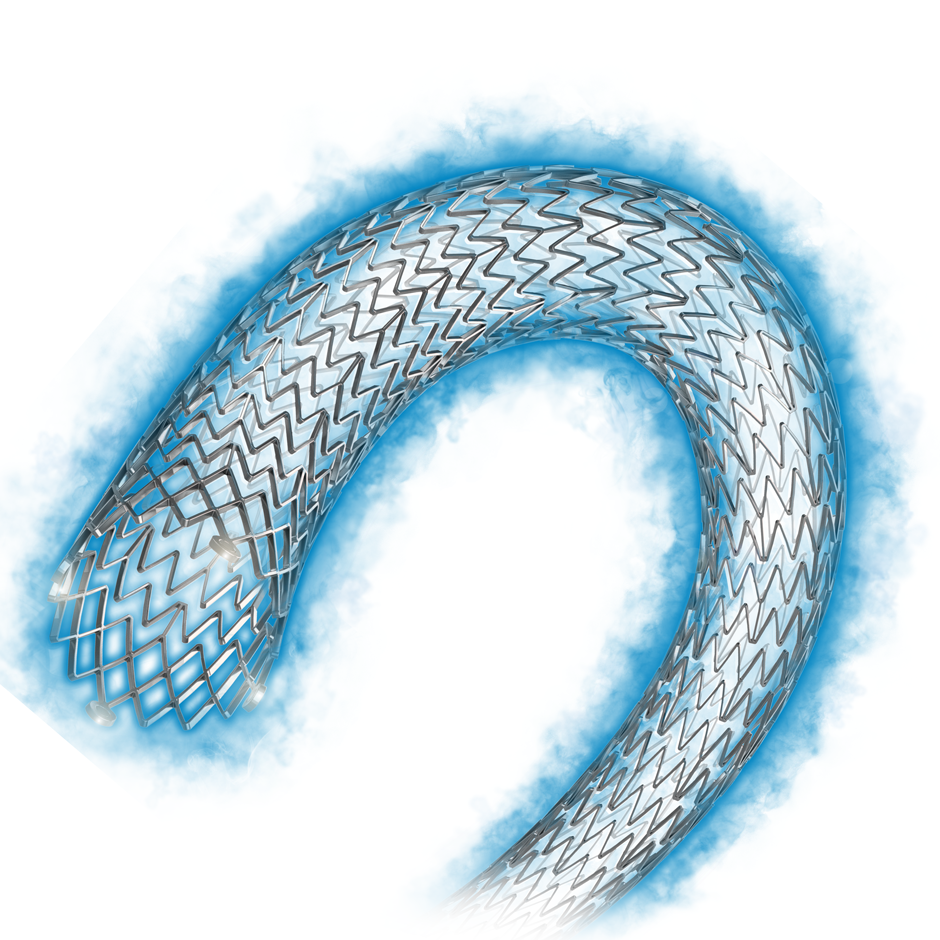 Eluvia DrugEluting Vascular Stent System Boston Scientific