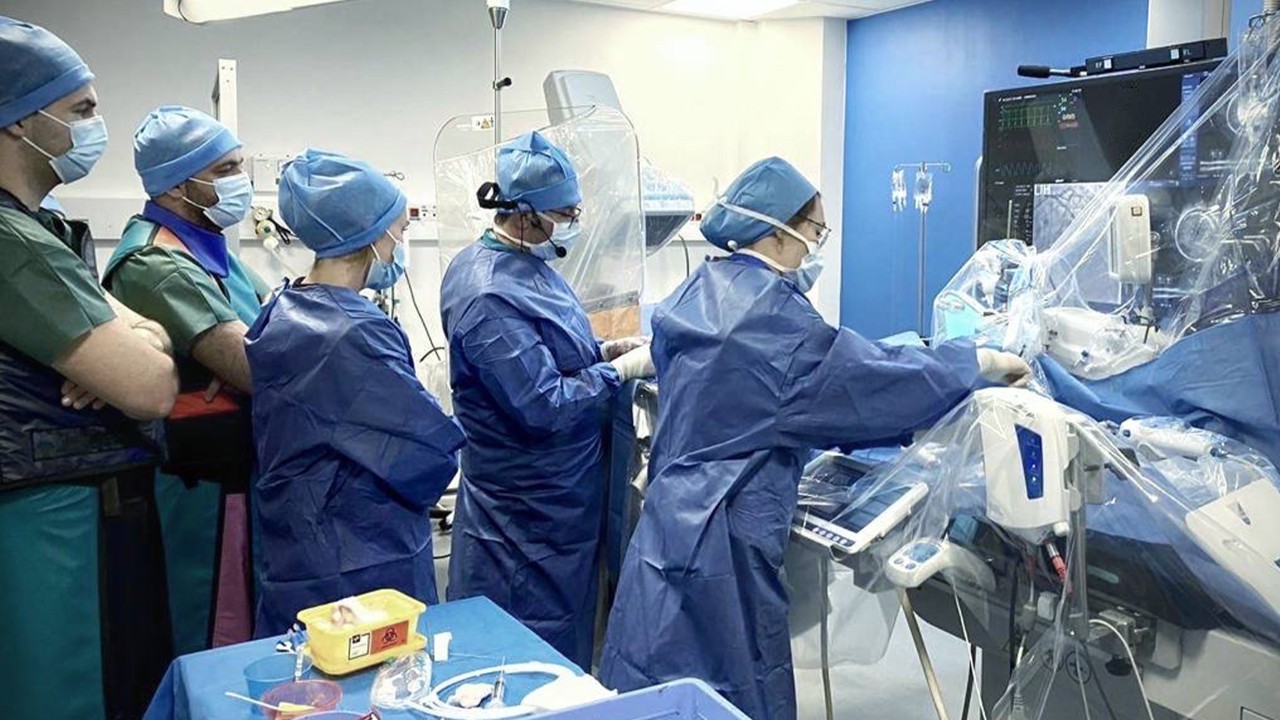Hands-on workshop on Left Main Bifurcations and small vessel treatment in a cath lab. 