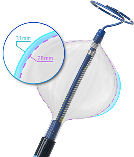 POLARx FIT catheter with inflated cryoballoon and cross-section showing 28mm and 31mm diameters