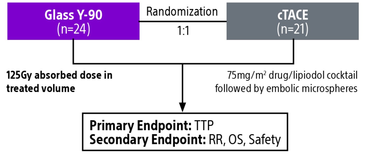 Diagram showing Glass Y-90 (n=24) and cTACE (n=21), randomization 1:1, with Primary Endpoint: TTP and Secondary Endpoint: RR, OS, Safety.