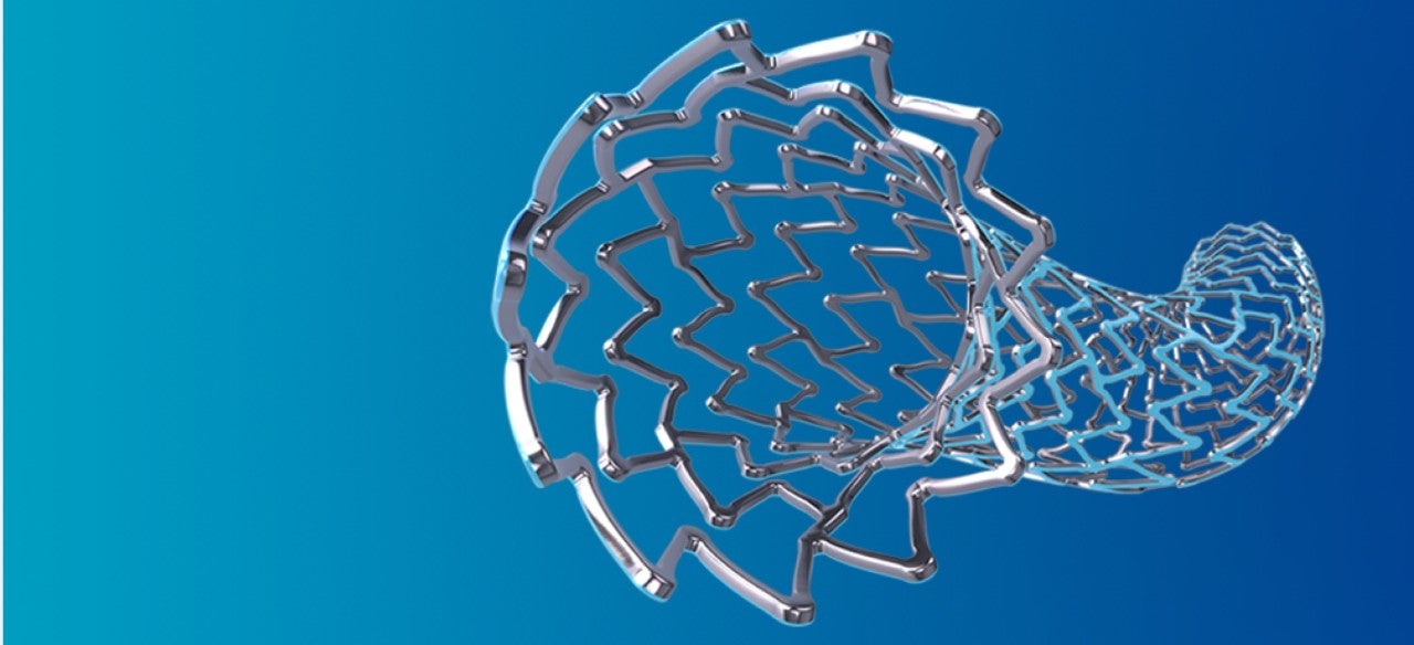 Boston Scientific Coronary stent