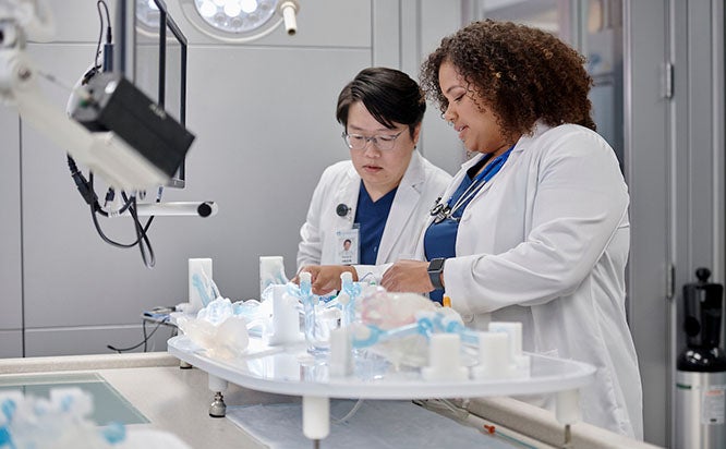 Two medical professionals working together on samples.
