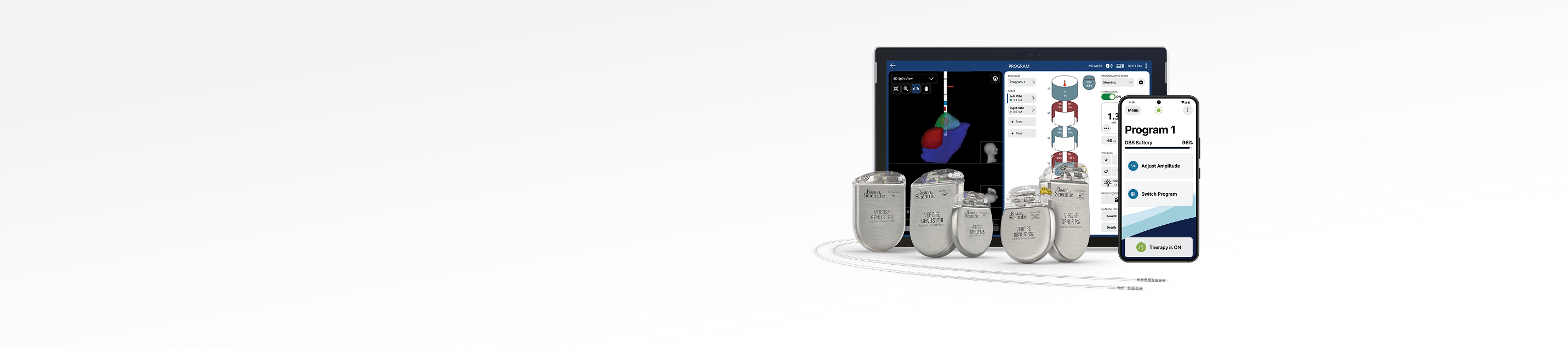 Boston Scientific’s deep brain stimulation devices.