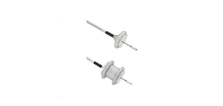 AXIOS™ Stent and Electrocautery Enhanced Delivery System   