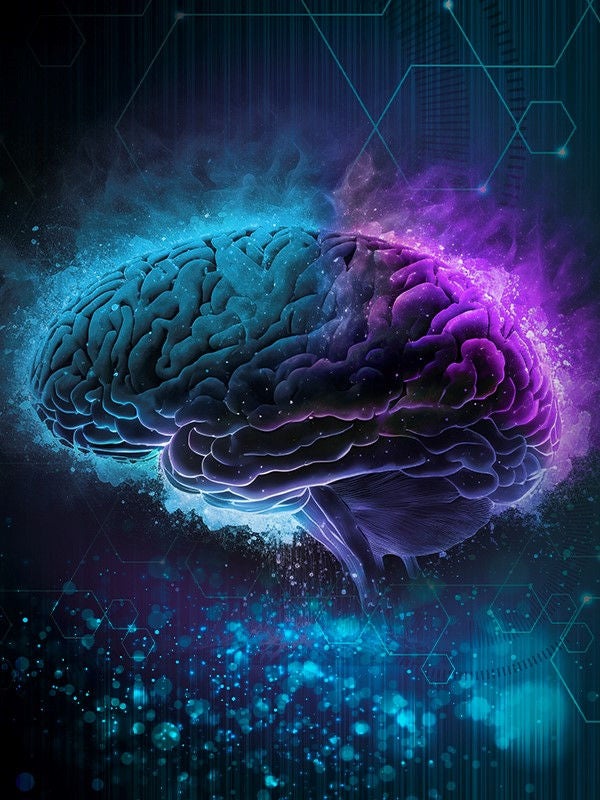 brain-visual-thumbnail