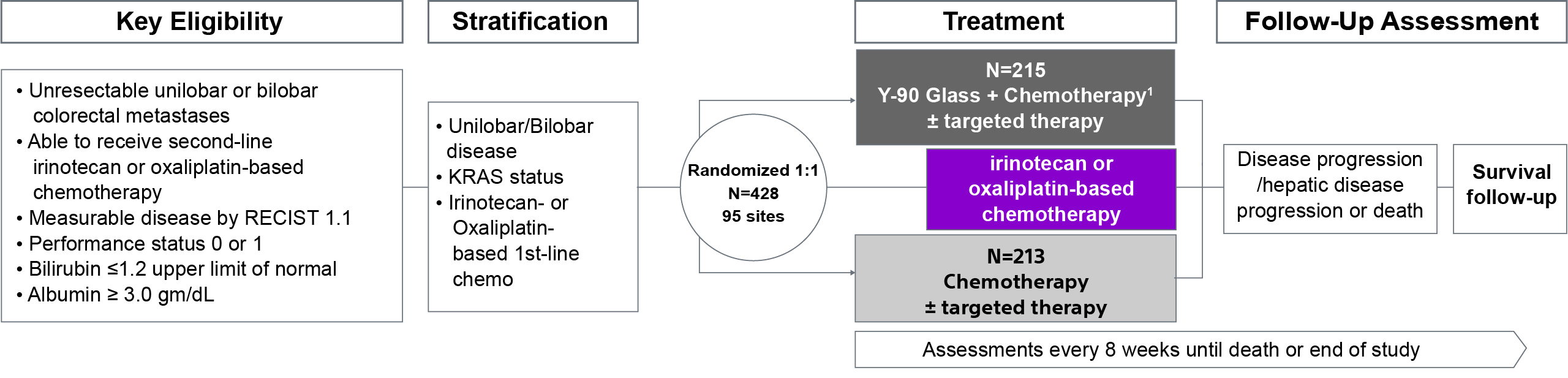 Process chart with Key Eligibility, Stratification, Treatment and Follow-up Assessment.