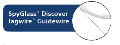SpyGlass™ Discover Jagwire™ Guidewire image