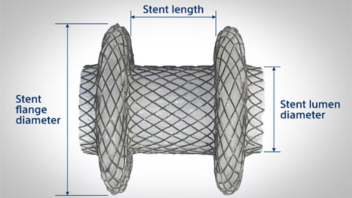 hot-axios-stent-dimensions-hpb