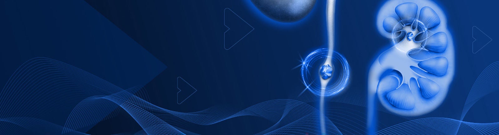 Laser Portfolio