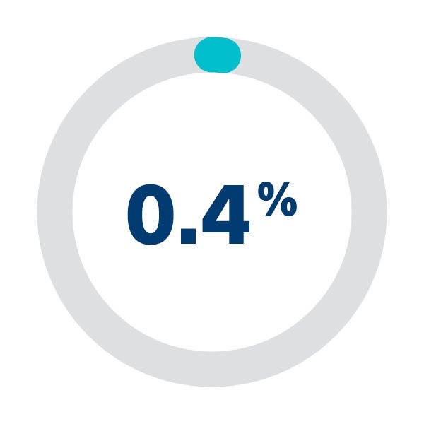 Zero point four percent Icon