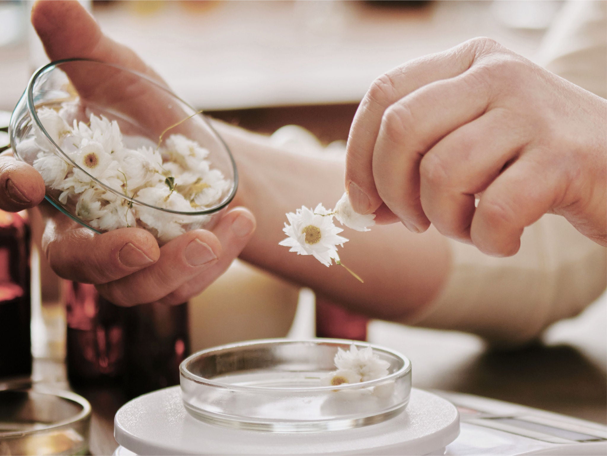 Carefully placing some flowers, expressing that if precision matters, you should choose TheraSphere.