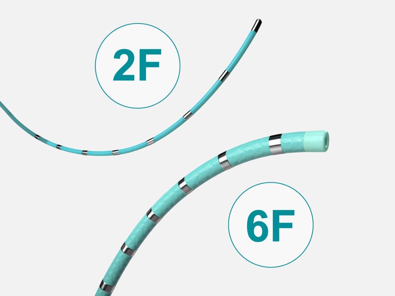 Multielectrode shafts of EPstar Fixed Electrophysiology Catheters.