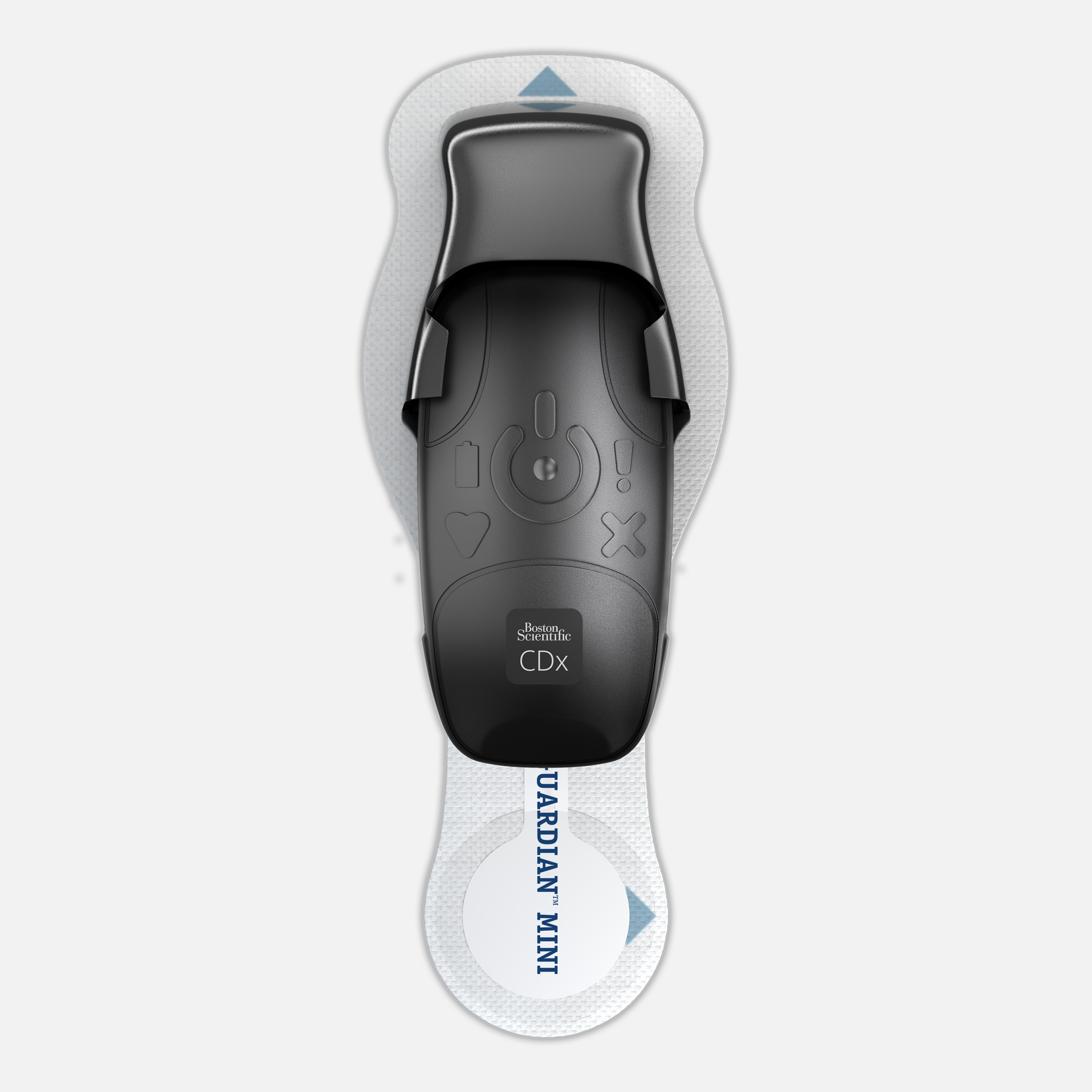 BodyGuardian MINI cardiac monitor device with strip supports the holter modality. 