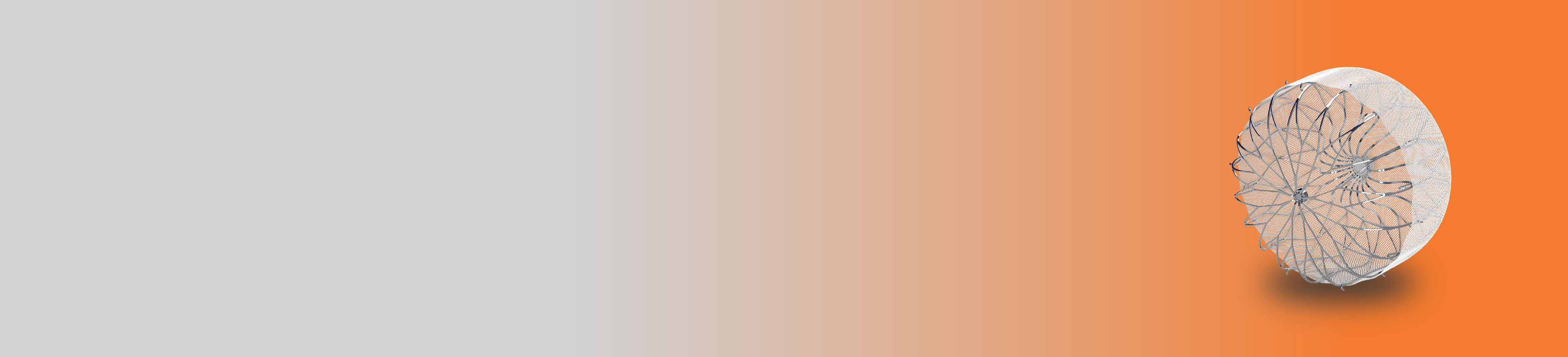 dispositivo watchman