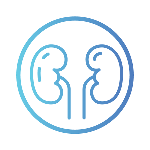 Lung Icon