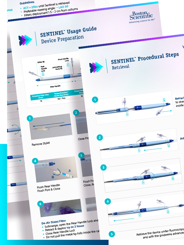 SENTINEL quick guide on usage