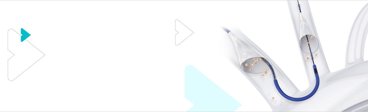 Sentinel in anatomy Banner