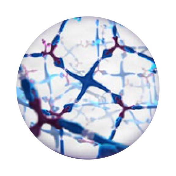 Product and Procedure – SpaceOAR Hydrogel - Boston Scientific
