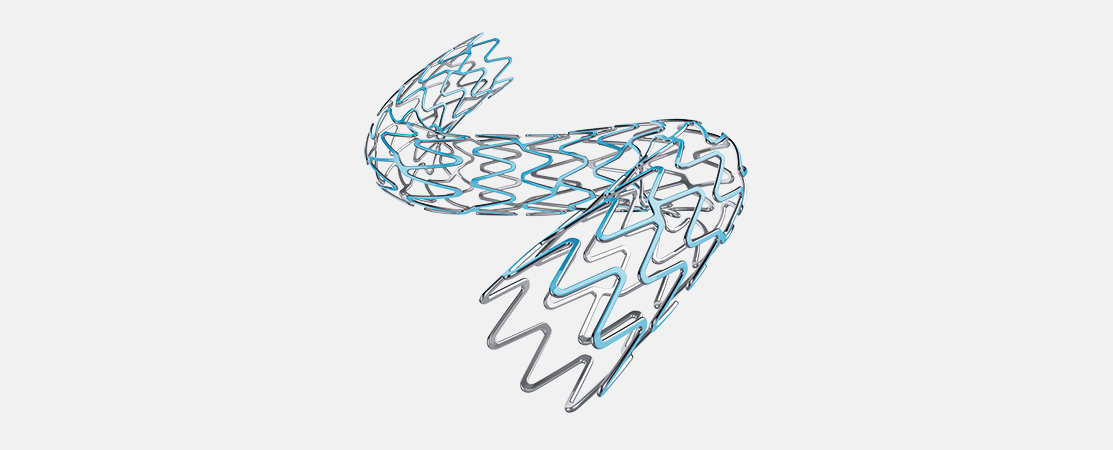 Boston Scientific Synergy XD coronary stent.