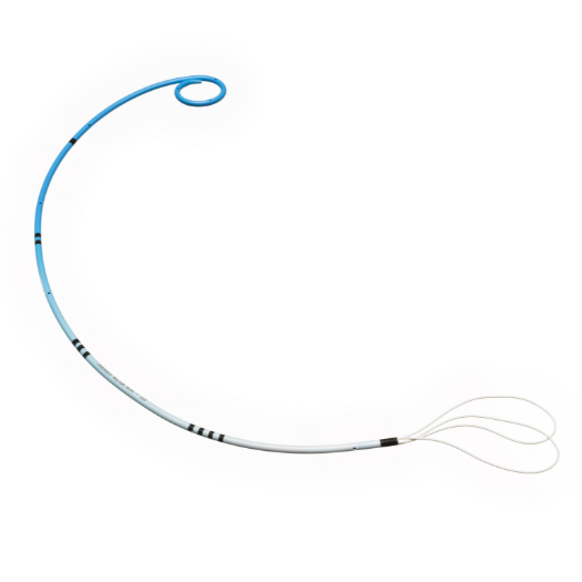 polaris loop stent