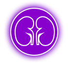 Cryoab;ation Renal Icon