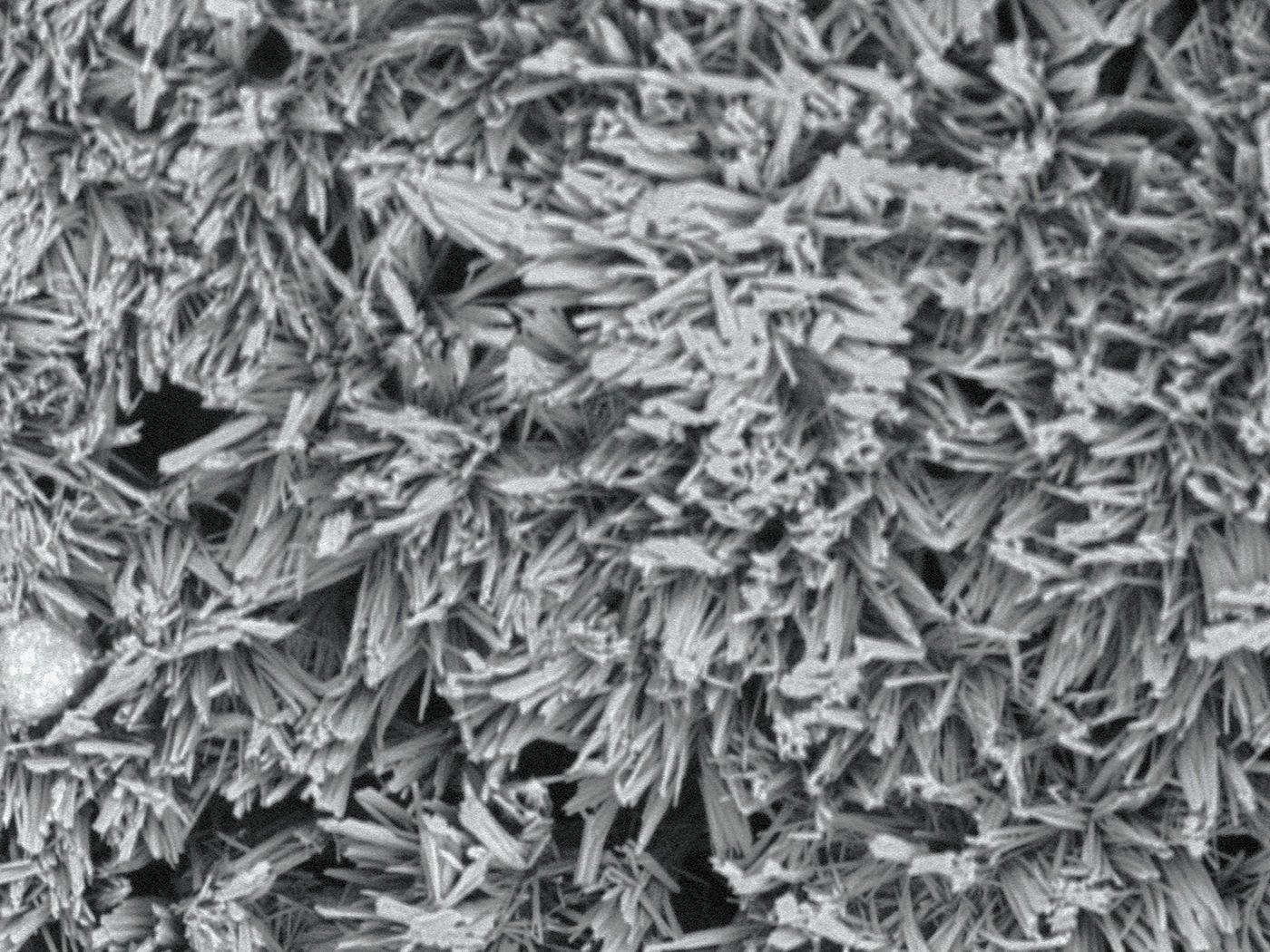 Uniform crystalline formulation maintains the Paciltaxel through the healing process.