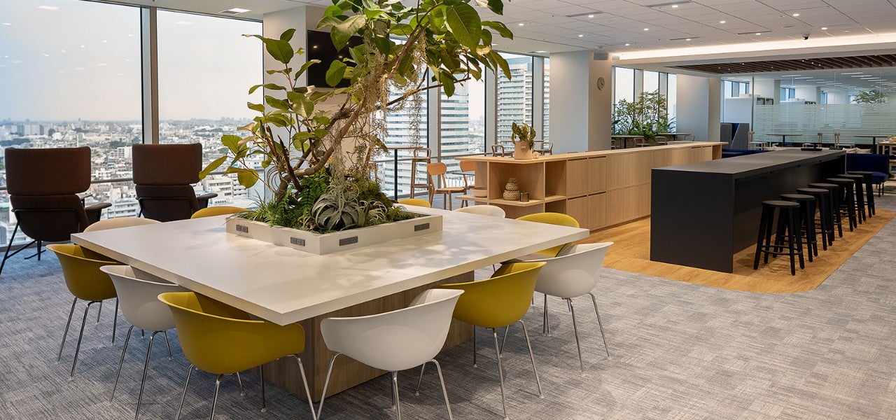 ⑥カフェ・ラウンジエリア