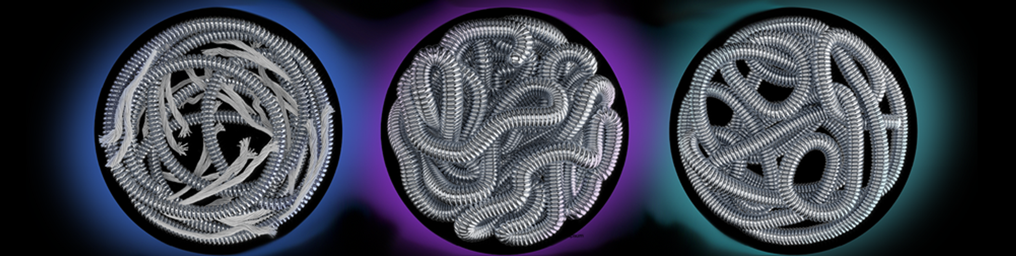 Embold coils wrapped in circles with blue, purple, green backgrounds.