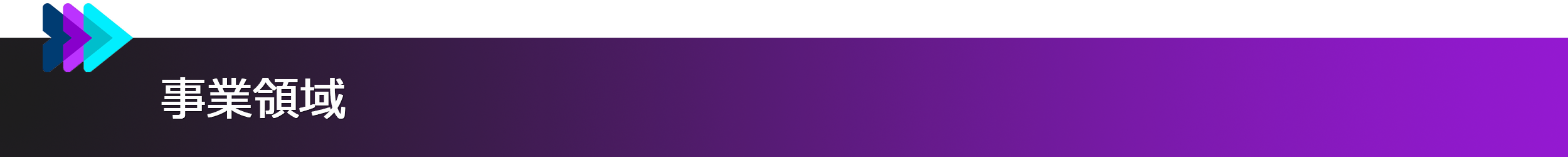 事業領域