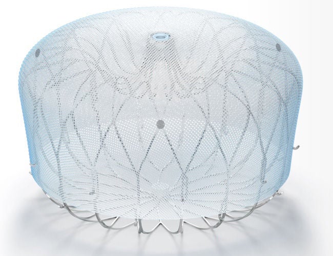 An enlarged image of the WATCHMAN FLX device from the front view.