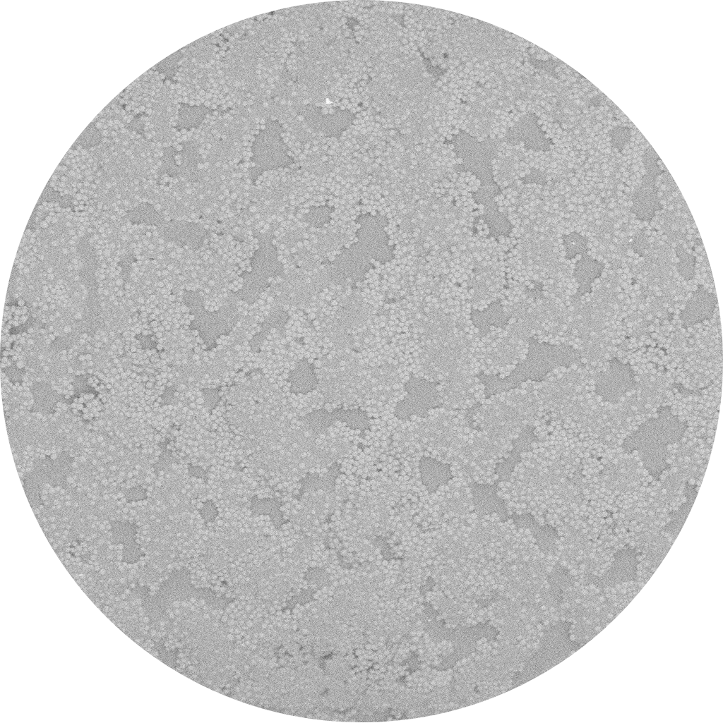 SELUTION SLR™ DEB  Sirolimus Drug pre-tracking.