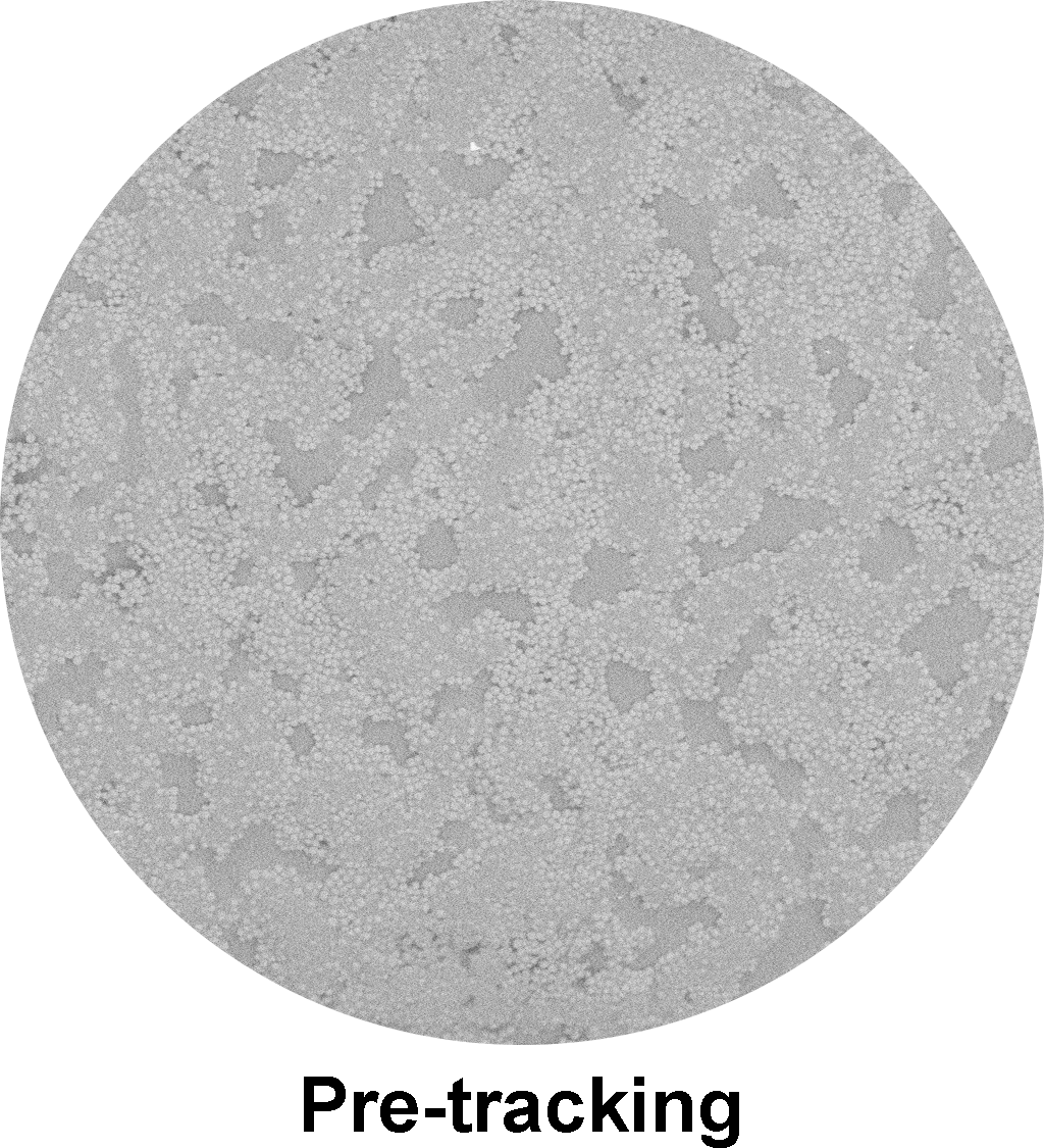 SELUTION SLR™ DEB  Sirolimus Drug pre-tracking.