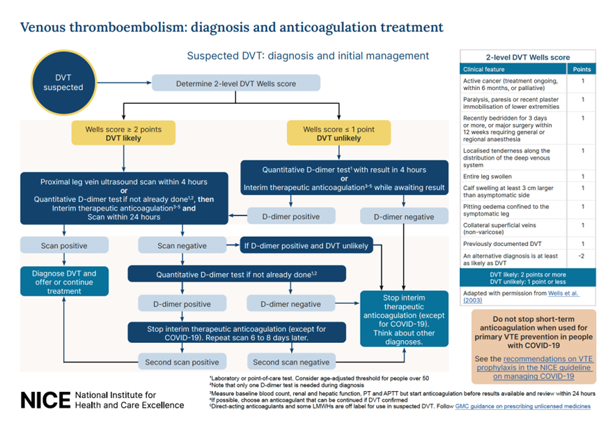 his visual summary of the recommendations on diagnosis and anticoagulation treatment for venous thromboembolism was developed by the NICE National Institute for Health and Care Excellence..