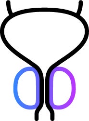 Symbol für Prostatakrebs