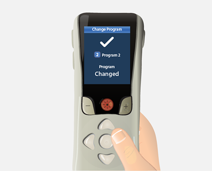 check mark confirms program has been changed.