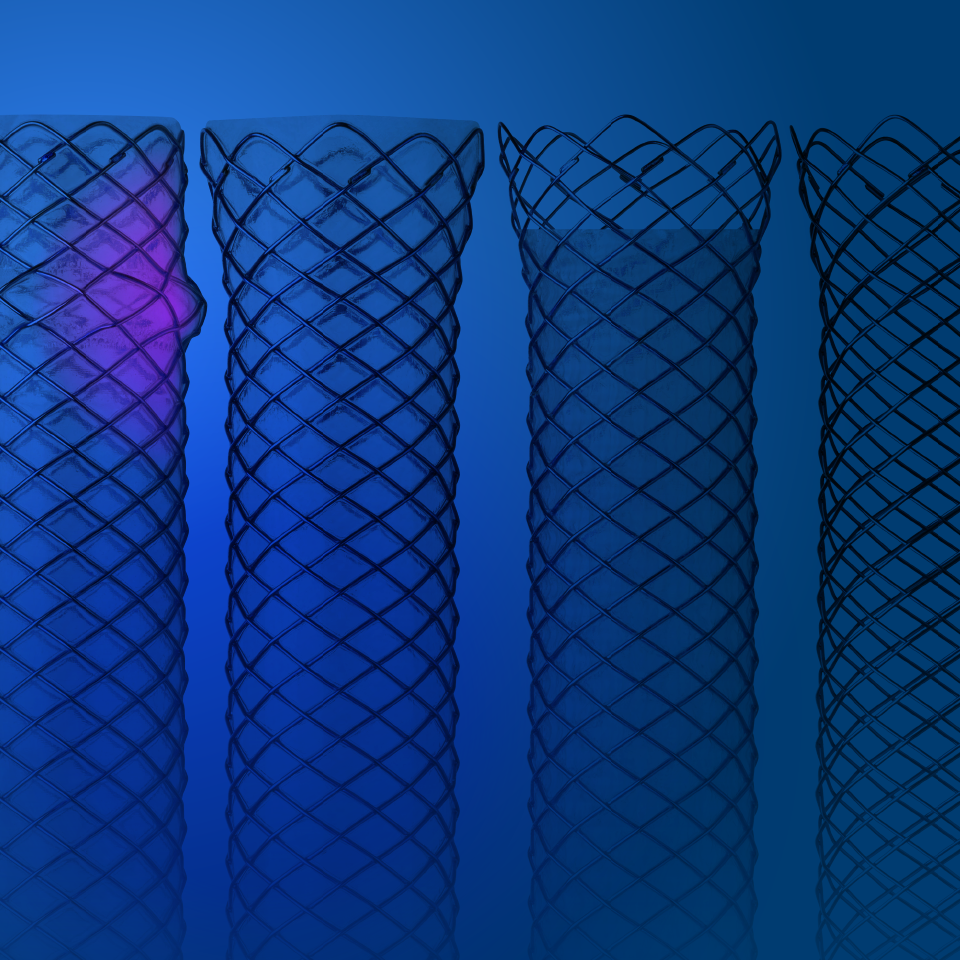 WallFlex Biliary Metal Stent portfolio highlighting all four different stents.