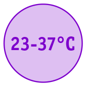 Purple temperature range icon 23–37°C