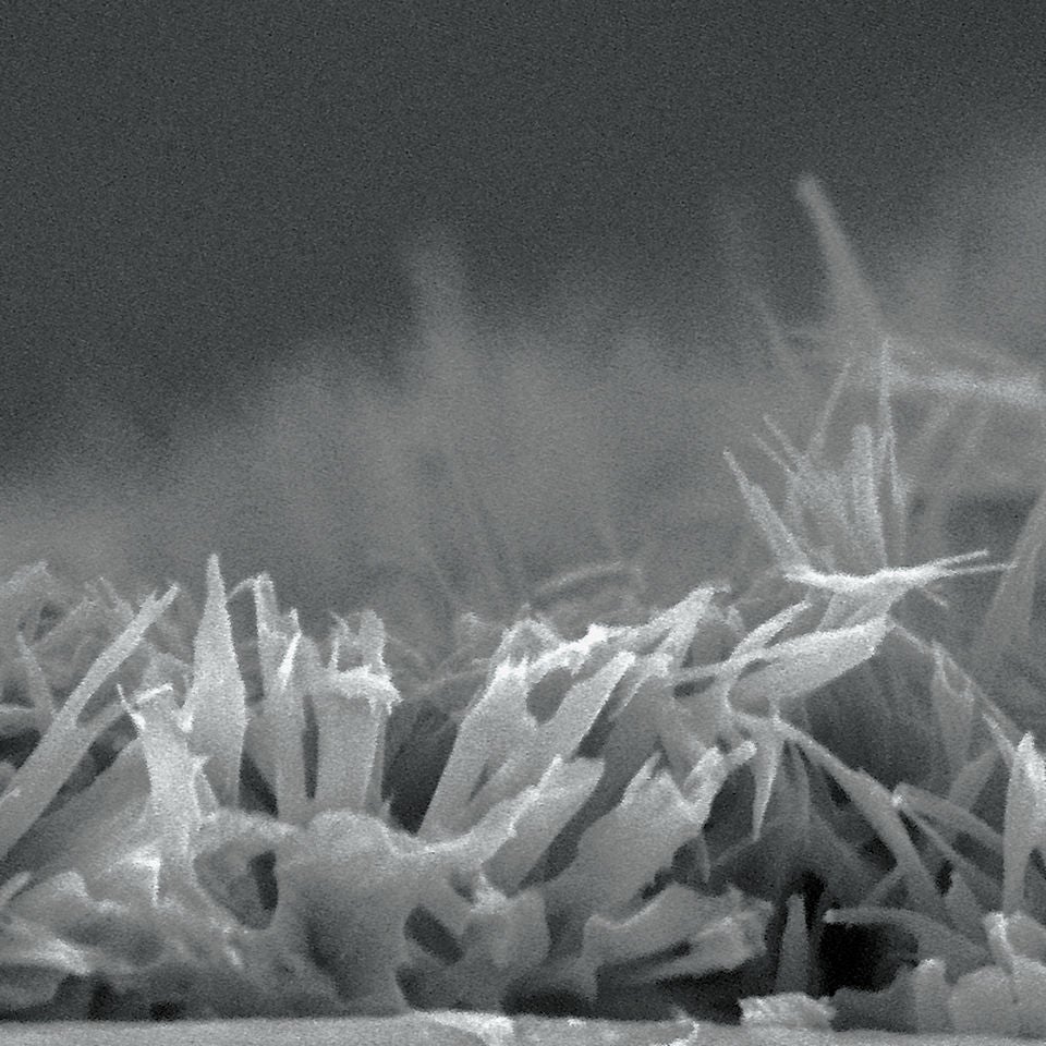 Sharp microscopic Paciltaxel (PTX) structure that enhances tissue absorption.