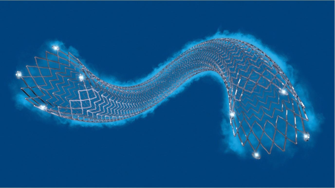  Boston Scientific Eluvia