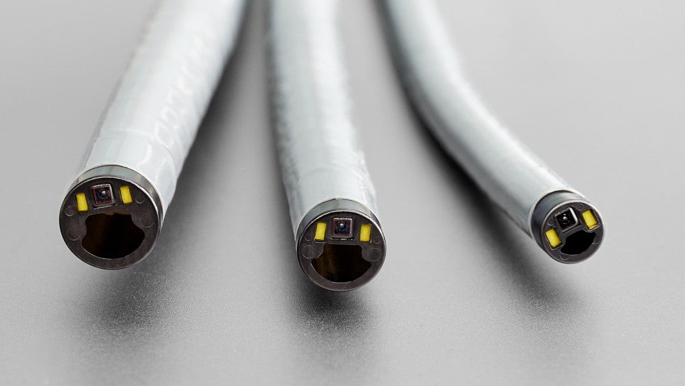 Interior views of large, regular and slim sizes of EXALT Model B Single-Use Bronchoscope.