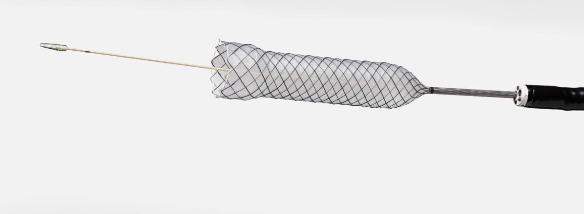 Boston Scientific Agile Esophageal Stent