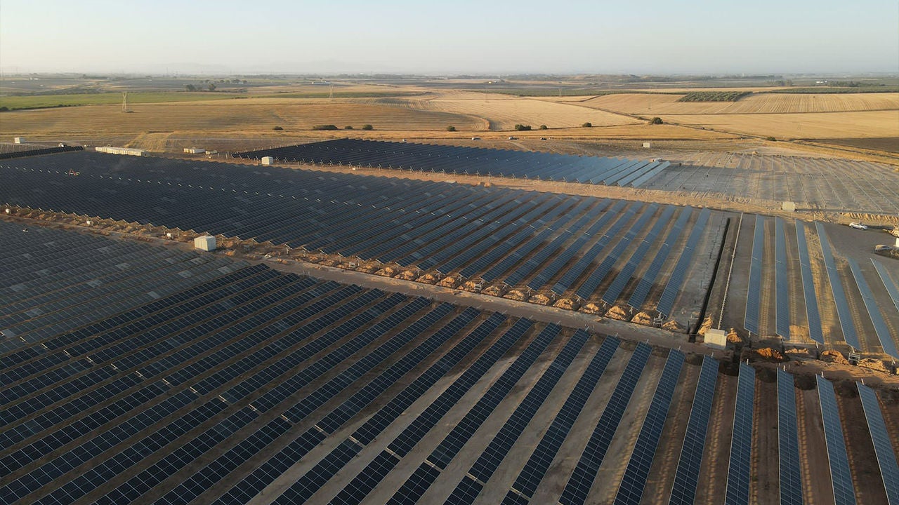 Large-scale solar panel installation supporting renewable energy initiatives.