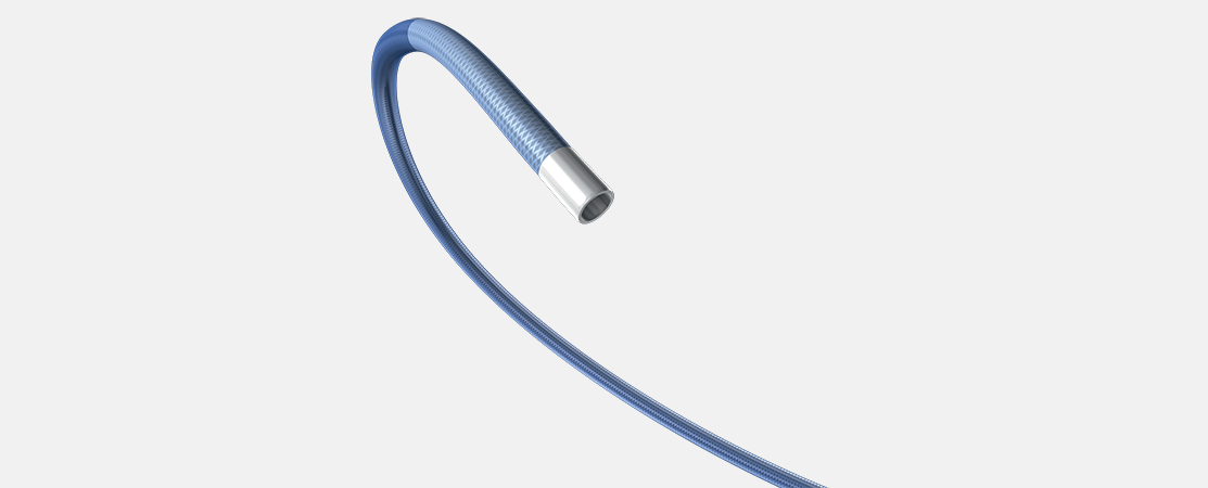 Boston Scientific Convey Guiding Catheter.